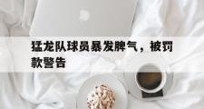 万博APP-猛龙队球员暴发脾气，被罚款警告