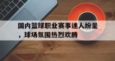 万博app下载页-国内篮球职业赛事迷人纷呈，球场氛围热烈欢腾